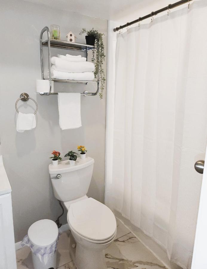 Adorable Mini Suite In Тампа Екстер'єр фото