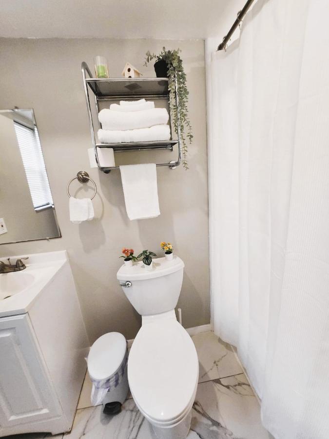 Adorable Mini Suite In Тампа Екстер'єр фото