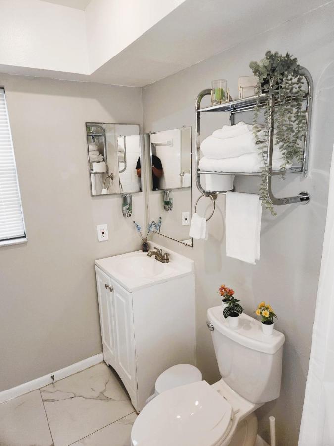 Adorable Mini Suite In Тампа Екстер'єр фото